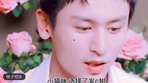 文春爆料女团视频大全,女团视频大全揭秘，精彩瞬间一网打尽  第3张