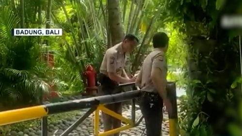 巴厘岛情侣身亡爆料视频,揭秘背后真相与疑云